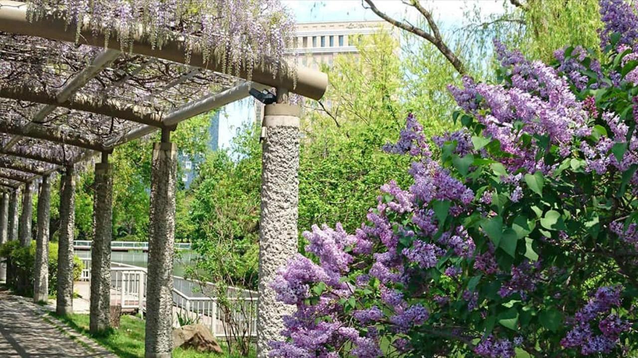 Hotel Lifort Саппоро Экстерьер фото
